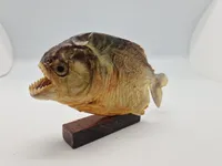 Udstoppet piratfisk