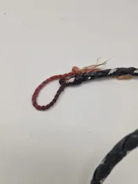 Original afrikansk pisk