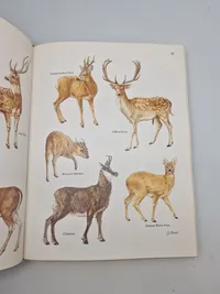 "Records of Big Game" af Rowland Ward Publications (Nummereret)
