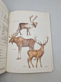 "Records of Big Game" af Rowland Ward Publications (Nummereret)
