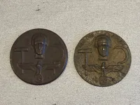 Originale tyske Tag Der Arbeit badges - ww2