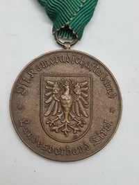 Original Österreich - Hochwassermedaille des Landes Steiermark