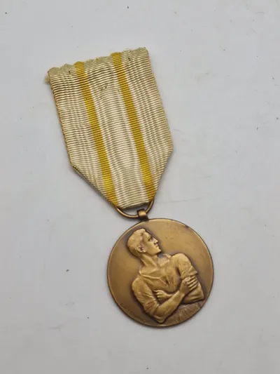 Original "Medalje for Felttoget" (Medalla de la Campaña)