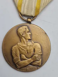 Original "Medalje for Felttoget" (Medalla de la Campaña)