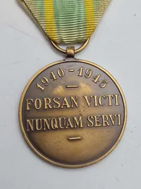 Original "Medalje for Felttoget" (Medalla de la Campaña)