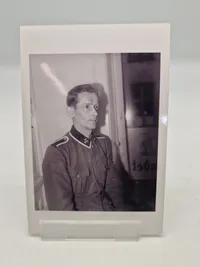 Samling Frikorps Danmark fotos - Genoptryk (50 stk)