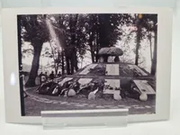 Samling Frikorps Danmark fotos - Genoptryk (50 stk)