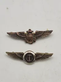 Originalt "Naval Aviator Pilot Wings Patch" & US Navy Naval Observer Overseas Cap Badge