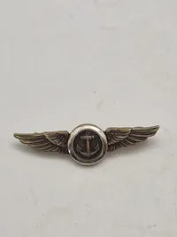 Originalt "Naval Aviator Pilot Wings Patch" & US Navy Naval Observer Overseas Cap Badge