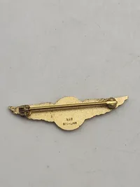 Originalt "Naval Aviator Pilot Wings Patch" & US Navy Naval Observer Overseas Cap Badge