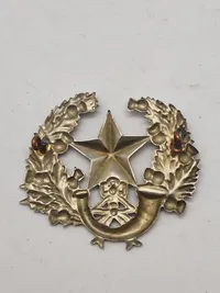 Originalt Skotsk WW1/WW2 regimentsmærke
