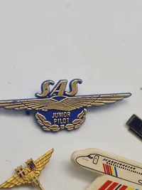Samling SAS pins