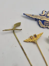 Samling SAS pins