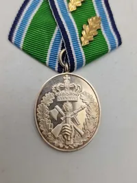 Originalt eks af Hjemmeværnets Anciennitetstegn (60 år)