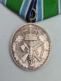 Originalt eks af Hjemmeværnets Anciennitetstegn (50 år)