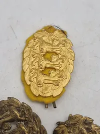 Samling danske regimentsmærker