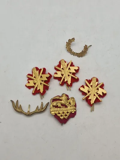 Lot danske regimentsmærker mm.