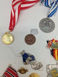 Lot diverse pins og medaljer