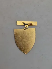 Lot diverse pins