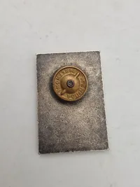 Lot diverse pins