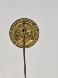 Lot diverse pins og nåle