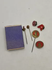 Lot diverse pins og nåle