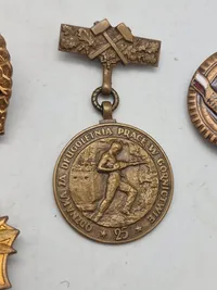 Lot diverse pins