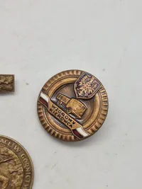 Lot diverse pins