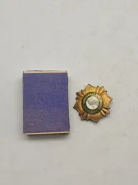 Lot diverse pins