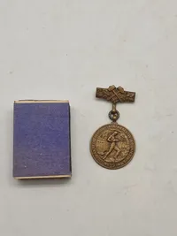 Lot diverse pins