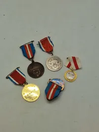 Lot marchmedaljer (De Blå Baretter)