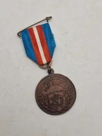Lot marchmedaljer (De Blå Baretter)