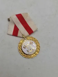 Lot marchmedaljer (De Blå Baretter)