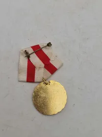 Lot marchmedaljer (De Blå Baretter)