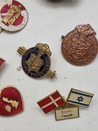 Samling pins og marker