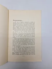 Sjælden original DNSAP pjece - ww2