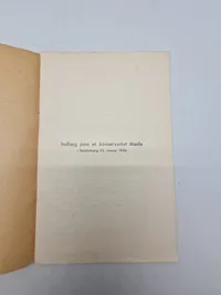 Sjælden original DNSAP pjece - ww2