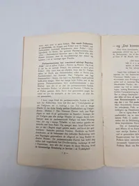 Sjælden original DNSAP pjece - ww2