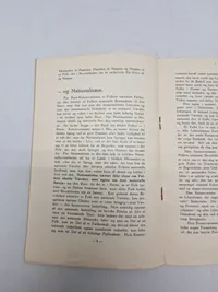 Sjælden original DNSAP pjece - ww2