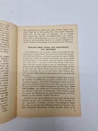 Sjælden original DNSAP pjece - ww2