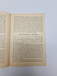 Sjælden original DNSAP pjece - ww2