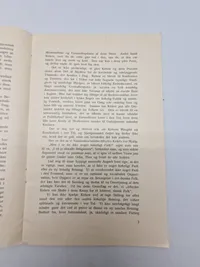 Sjælden original DNSAP pjece - ww2