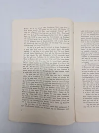 Sjælden original DNSAP pjece - ww2