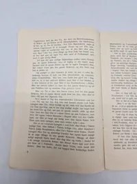 Sjælden original DNSAP pjece - ww2