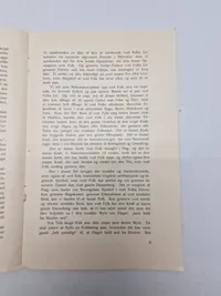 Sjælden original DNSAP pjece - ww2