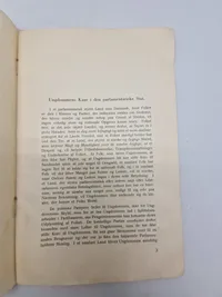 Sjælden original DNSAP pjece - ww2