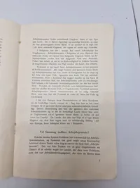 Sjælden original DNSAP pjece - ww2