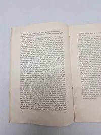 Sjælden original DNSAP pjece - ww2
