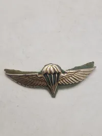 Lot originale britiske faldskærmsvinger mm.