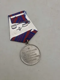 Medal "For excellent service in the protection of public order"